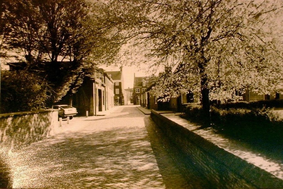 A6 F03328 01 Jaar 1984 Viacariestraat bloesem vanuit Kerkstraat k