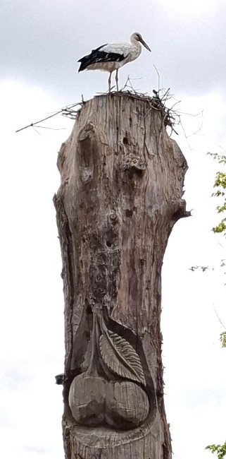 foto Steenoven ca 1920. Archief van de HKH